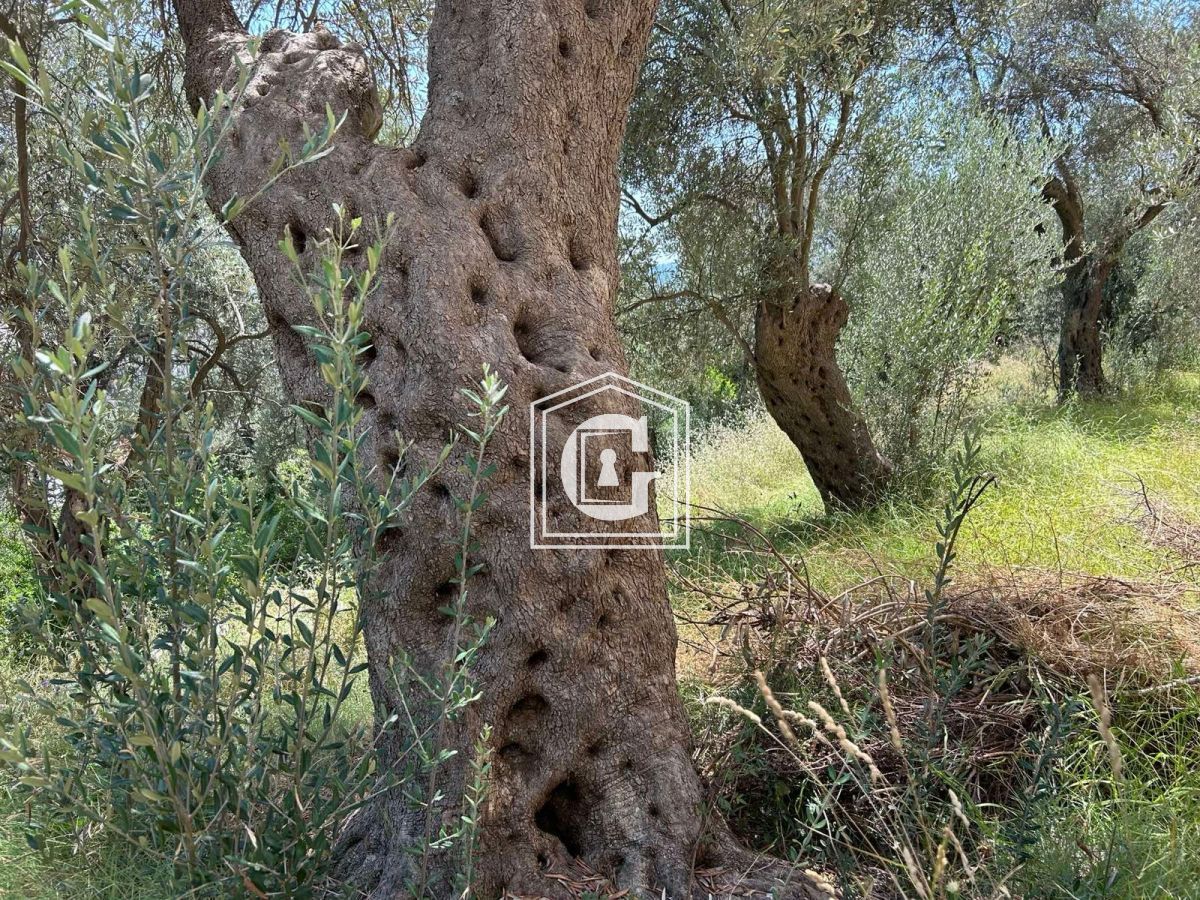 Appartamenti a Rafailovici, Montenegro, 43 m² - foto 4