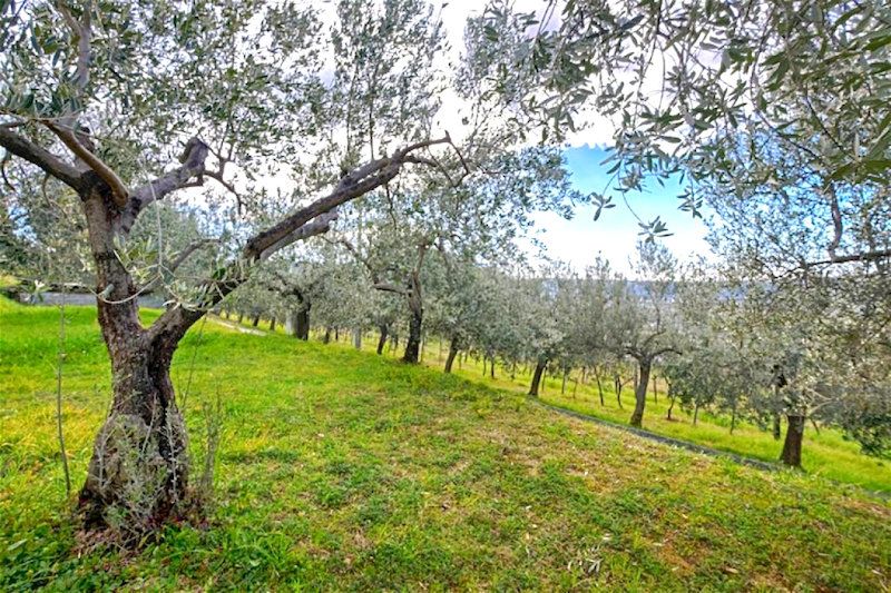 Haus in Piran, Slowenien, 316 m² - Foto 6