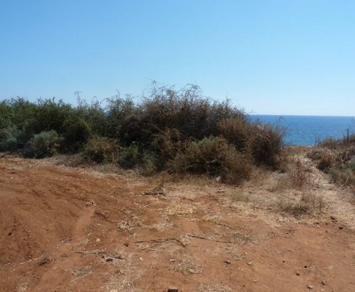 Land in Paphos, Cyprus, 24 000 m² - picture 3