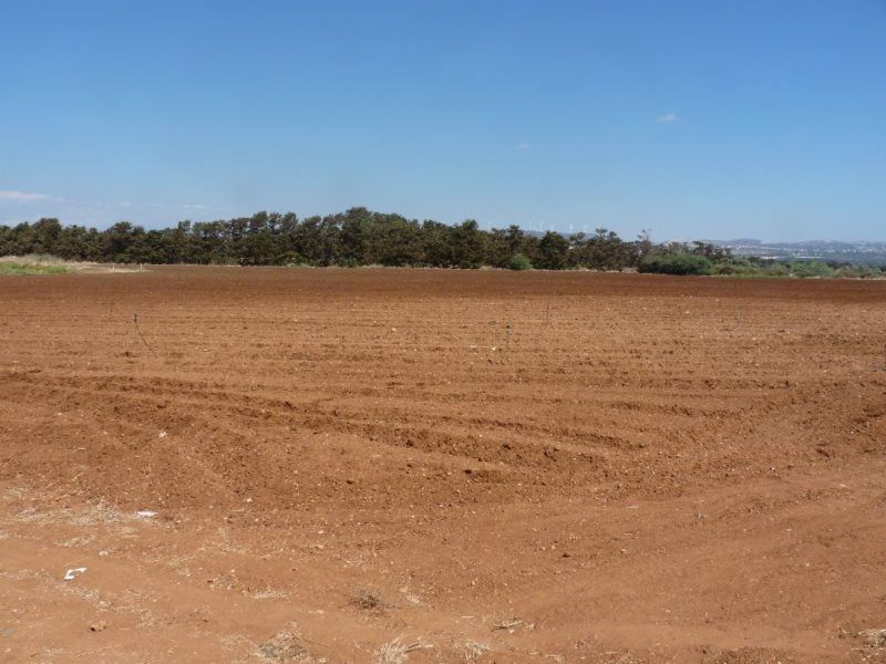 Land in Paphos, Cyprus, 24 000 m² - picture 4