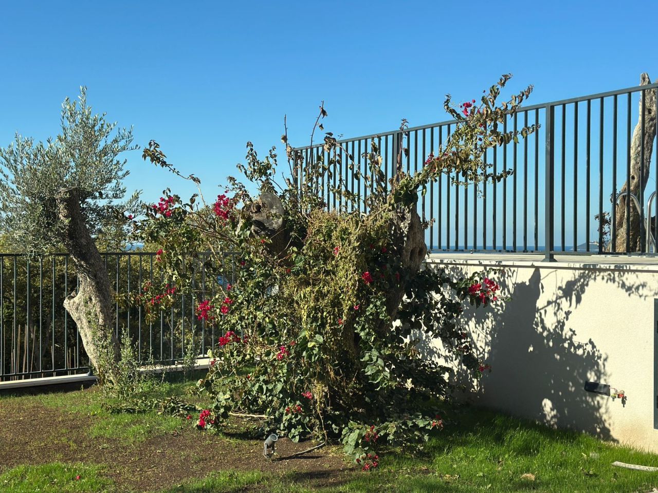 Townhouse in Rezevici, Montenegro, 195 m² - picture 9