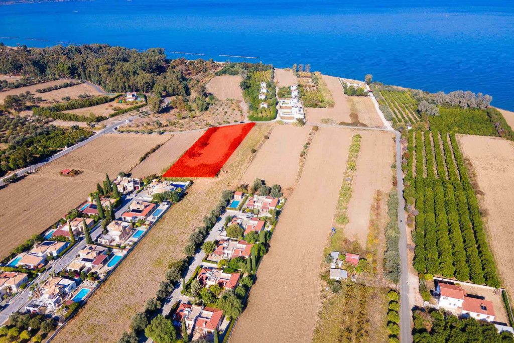 Cafe, restaurant in Paphos, Cyprus - picture 4