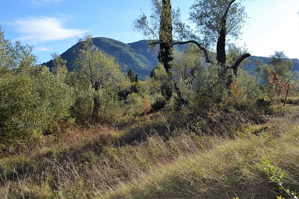 Terreno en Corfú, Grecia, 8 000 m² - imagen 1