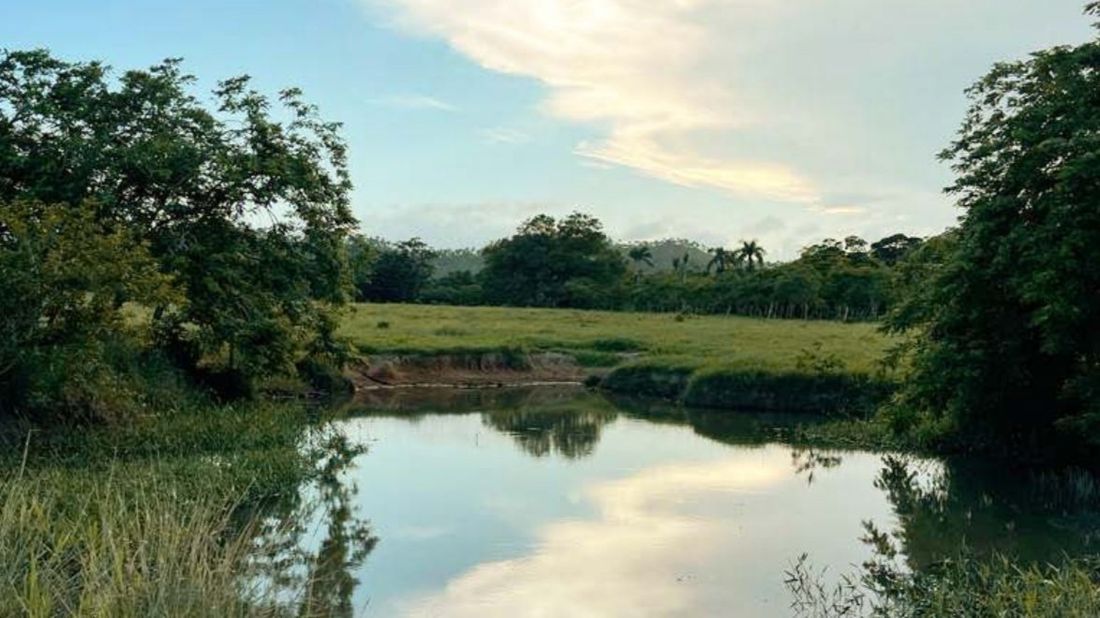 Land in Punta Cana, Dominican Republic, 697 m² - picture 6