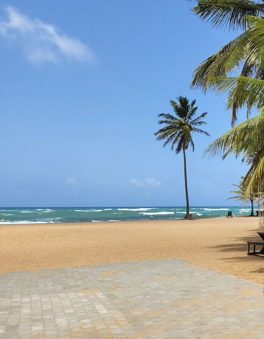 Land in Punta Cana, Dominican Republic, 697 m² - picture 8