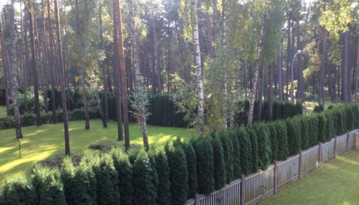 Appartement à Dzintari, Lettonie, 116 m² - image 9