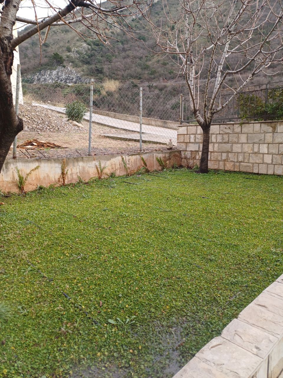 Villa à Rézévici, Monténégro, 246 m² - image 16