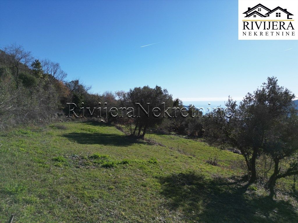 Grundstück in Herceg-Novi, Montenegro, 2 306 m² - Foto 5