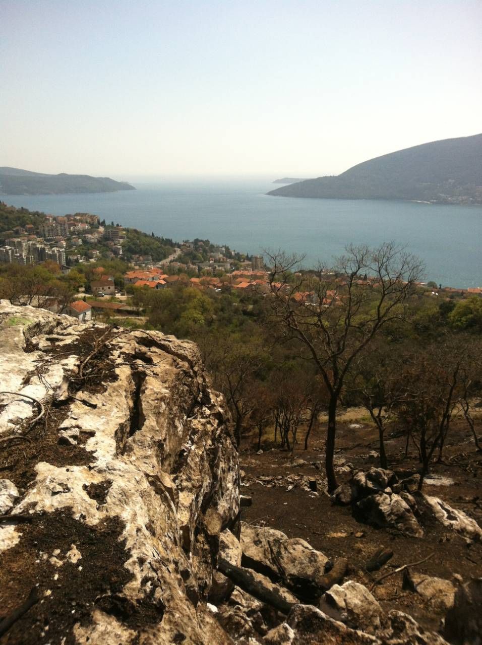 Terrain Herceg Novi, Monténégro, 26 826 m² - image 4