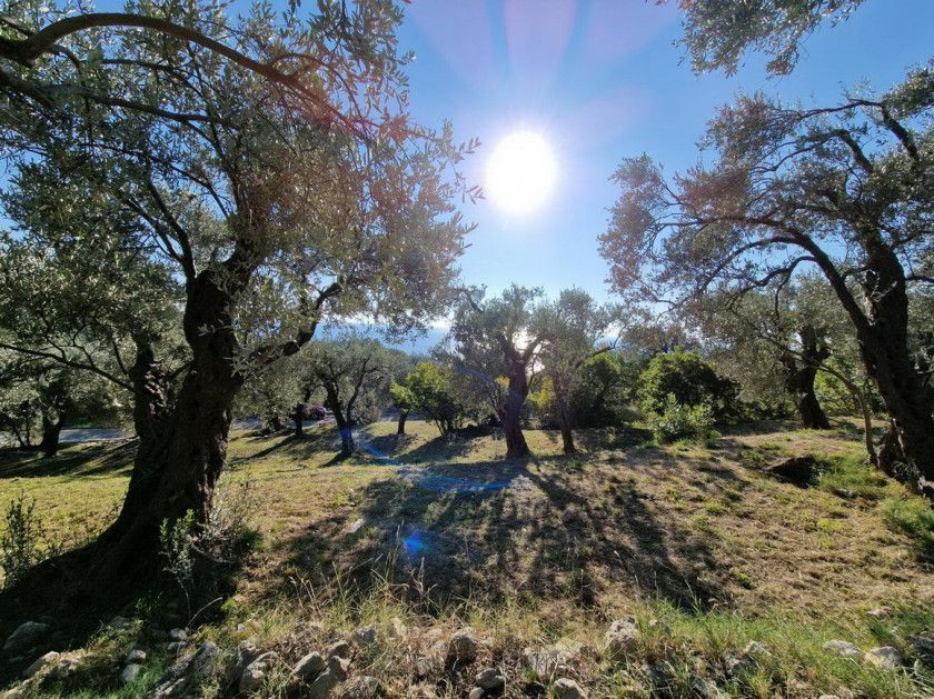 Land in Rezevici, Montenegro, 1 700 m² - picture 6