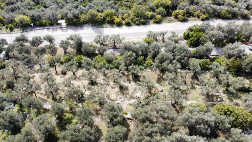 Land in Rezevici, Montenegro, 1 700 m² - picture 8