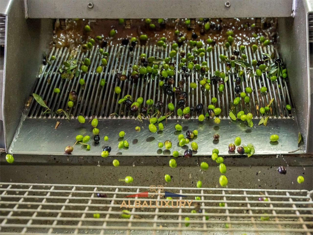 Apartment in Impruneta, Italy, 2 800 m² - picture 15