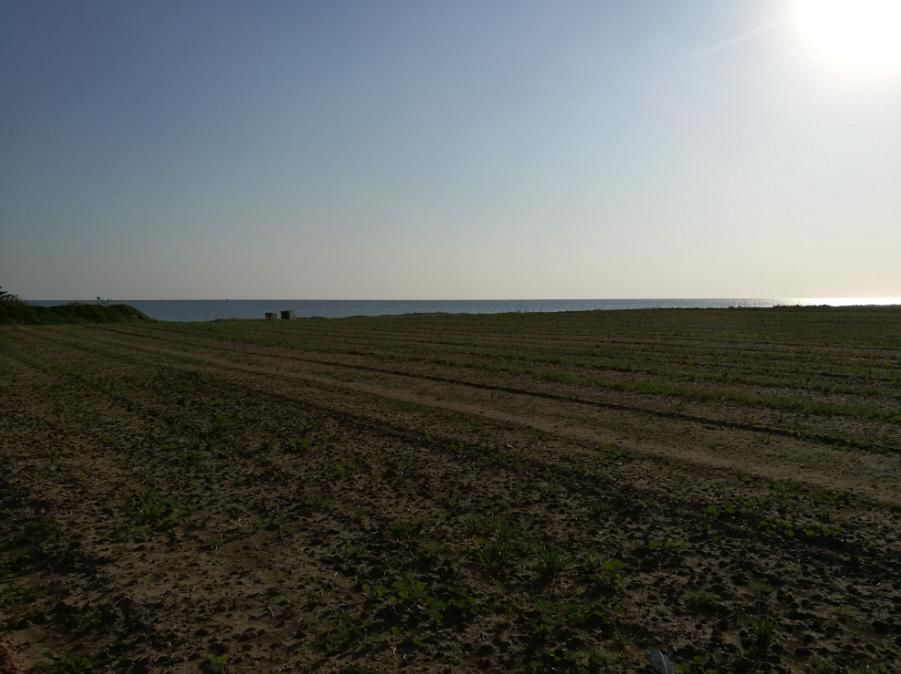 Terreno en Lárnaca, Chipre, 6 689 m² - imagen 5