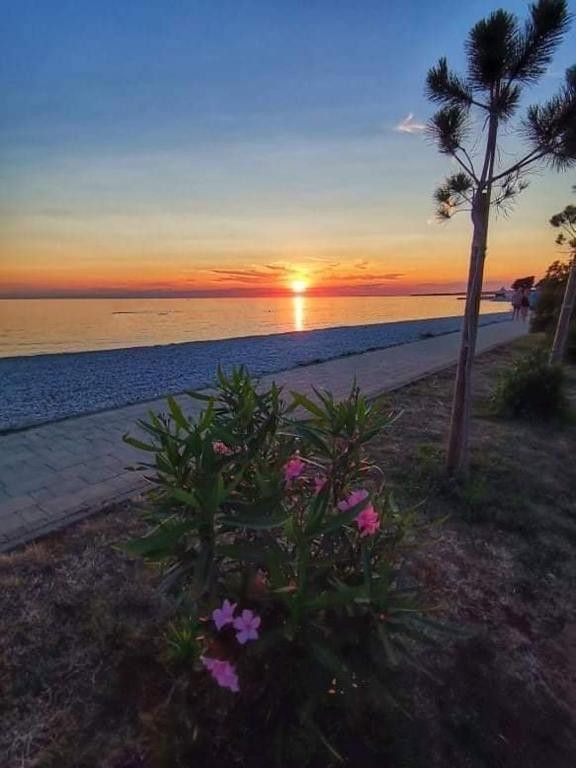 Casa en Peroj, Croacia, 210 m² - imagen 16