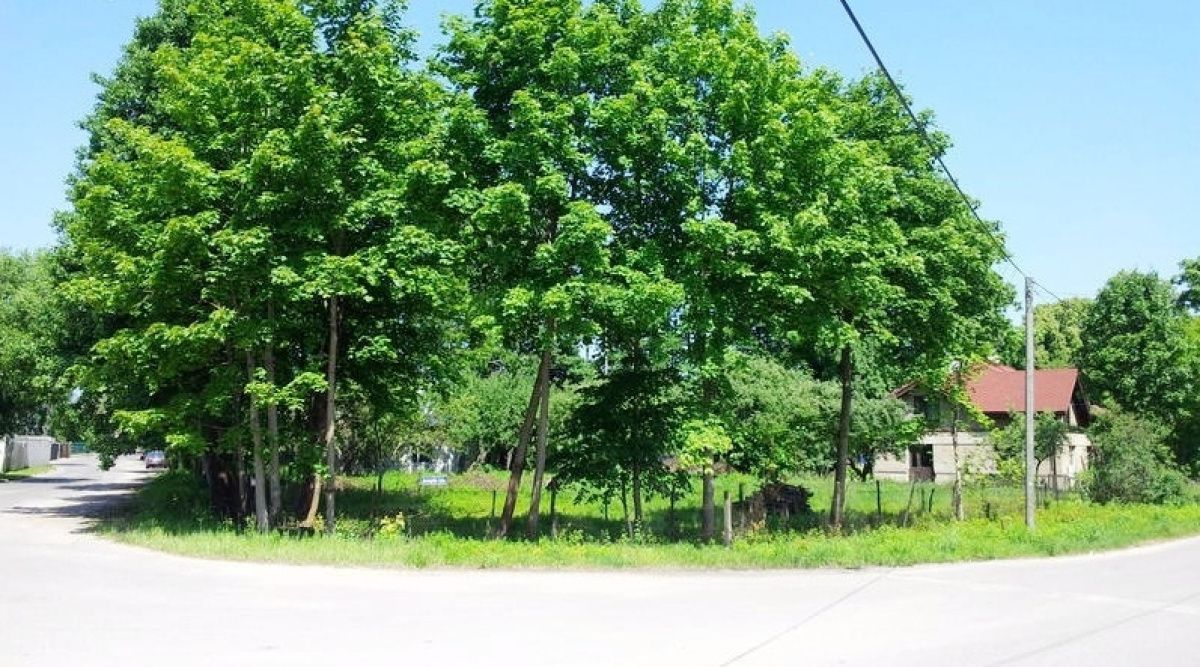 Gewerbeimmobilien in Riga, Lettland, 2 469 m² - Foto 2