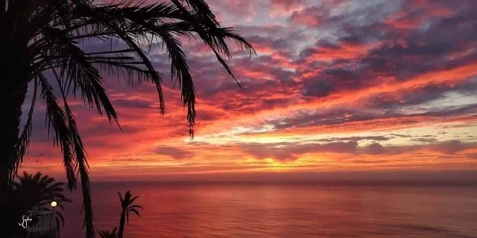 Bungalow a Torrevieja, Spagna, 72 m² - foto 13