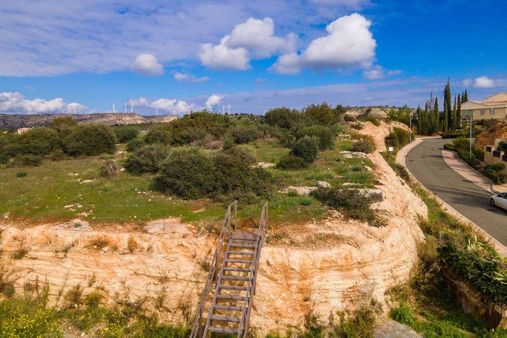 Cafe, restaurant in Paphos, Cyprus - picture 10