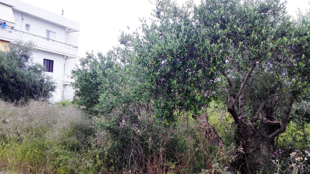 Terreno en Heraclión, Grecia, 400 m² - imagen 2