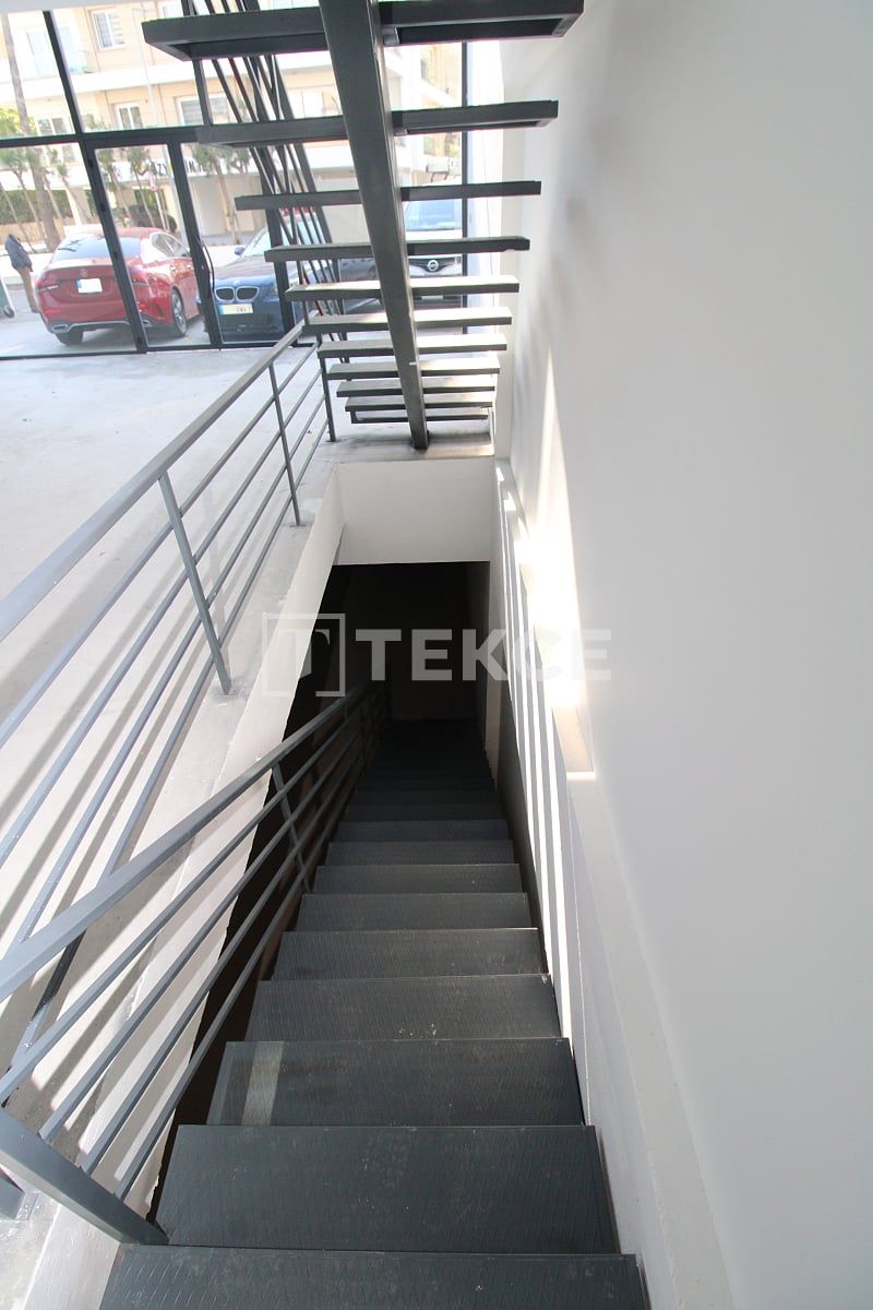 Tienda en Kyrenia, Chipre, 240 m² - imagen 13