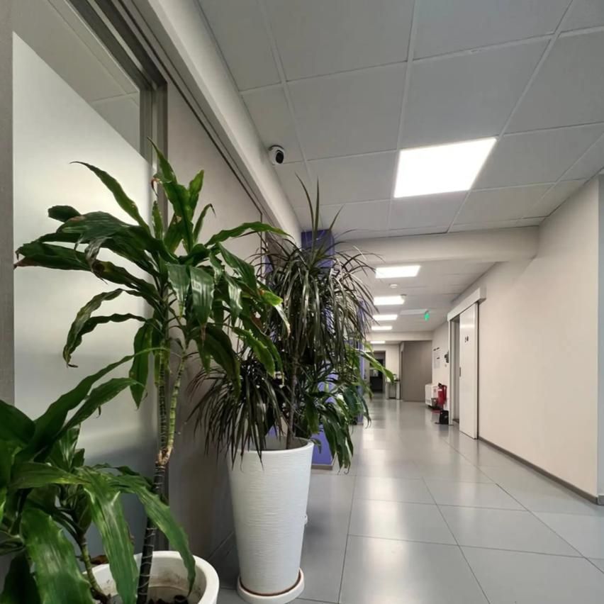 Office in Polemi, Cyprus, 635 m² - picture 7