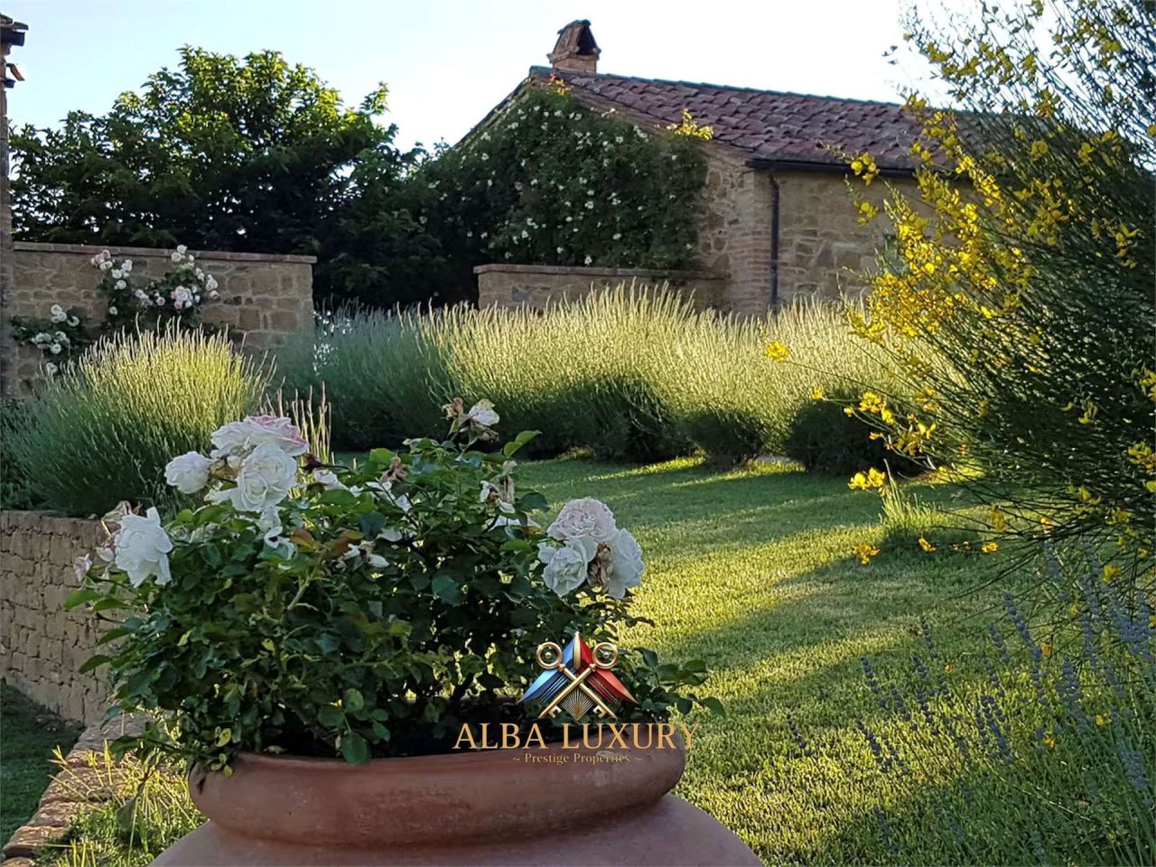 Villa à Torrita di Siena, Italie, 320 m² - image 7