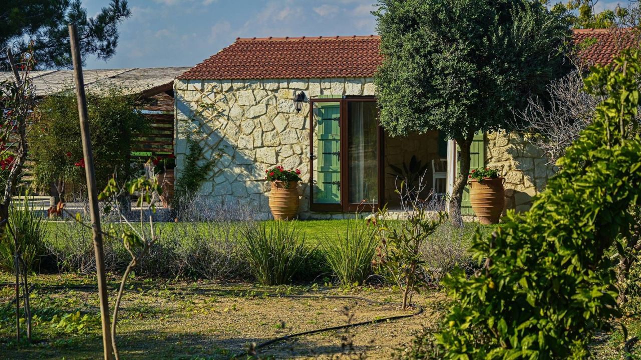 Maison à Larnaca, Chypre, 550 m² - image 1