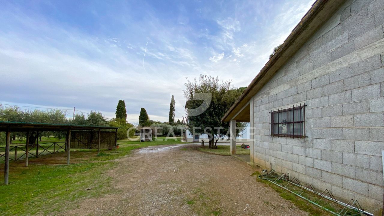 Maison à Capalbio, Italie, 114.5 m² - image 11
