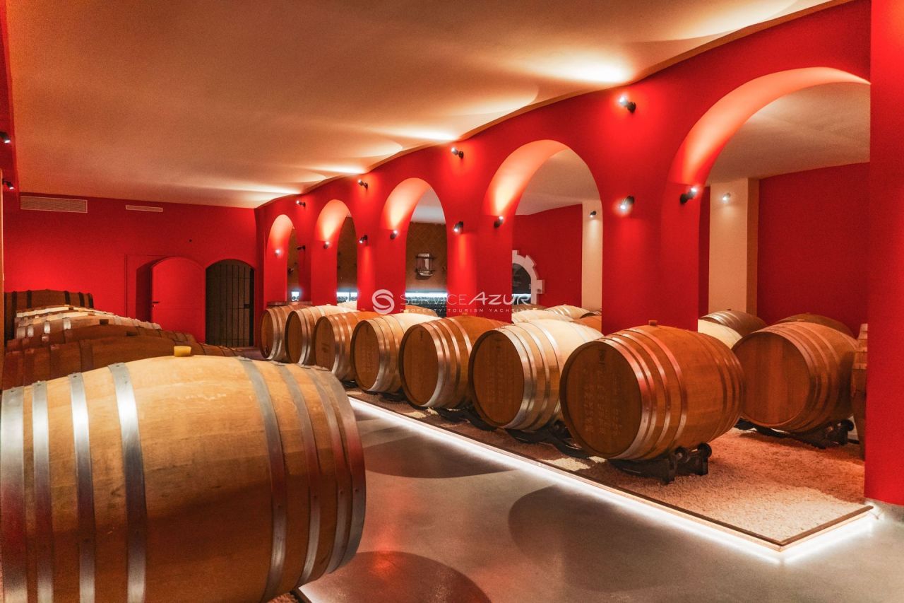 Villa à Nice, France, 120 000 m² - image 12