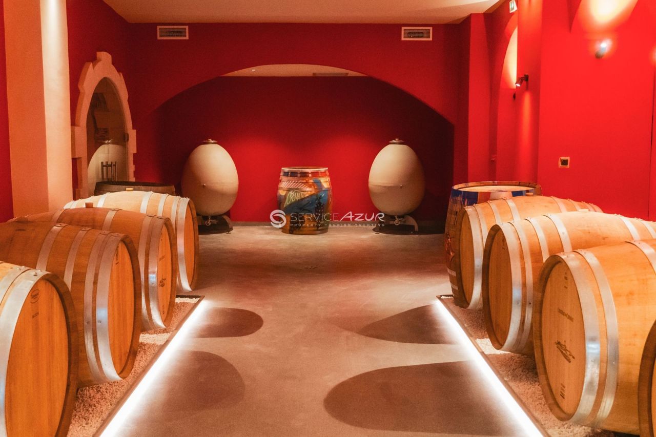 Villa à Nice, France, 120 000 m² - image 13