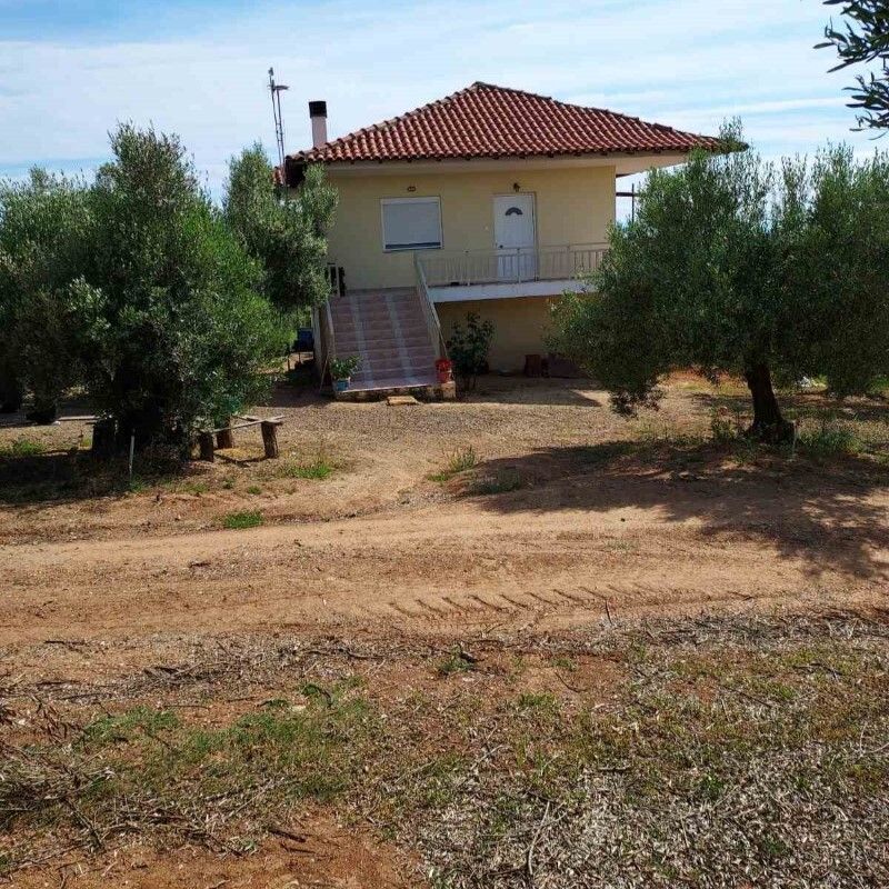 Haus in Chalkidiki, Griechenland, 150 m² - Foto 1