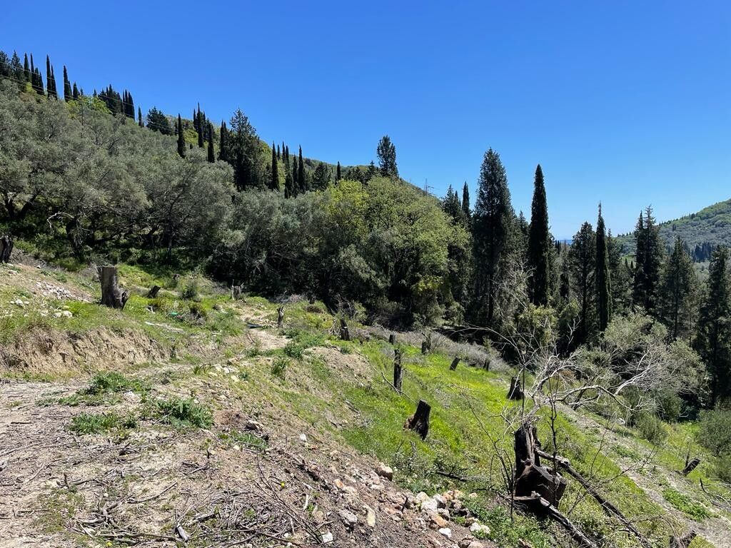 Terreno en Corfú, Grecia, 8 500 m² - imagen 1