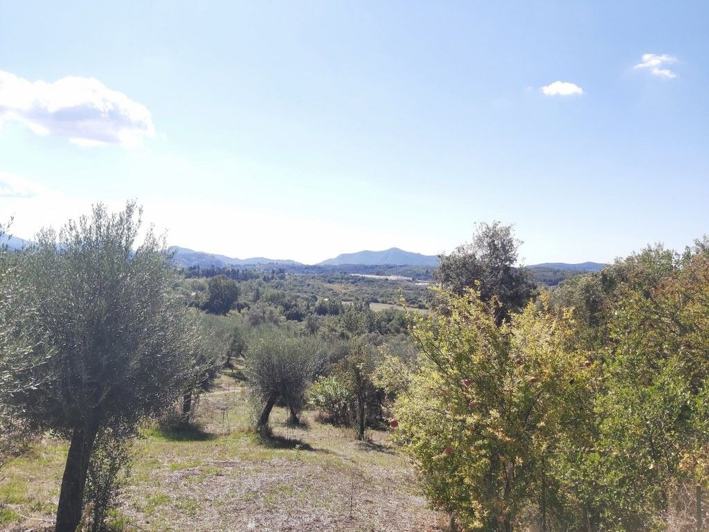 Terrain à Corfou, Grèce, 48 000 m² - image 1