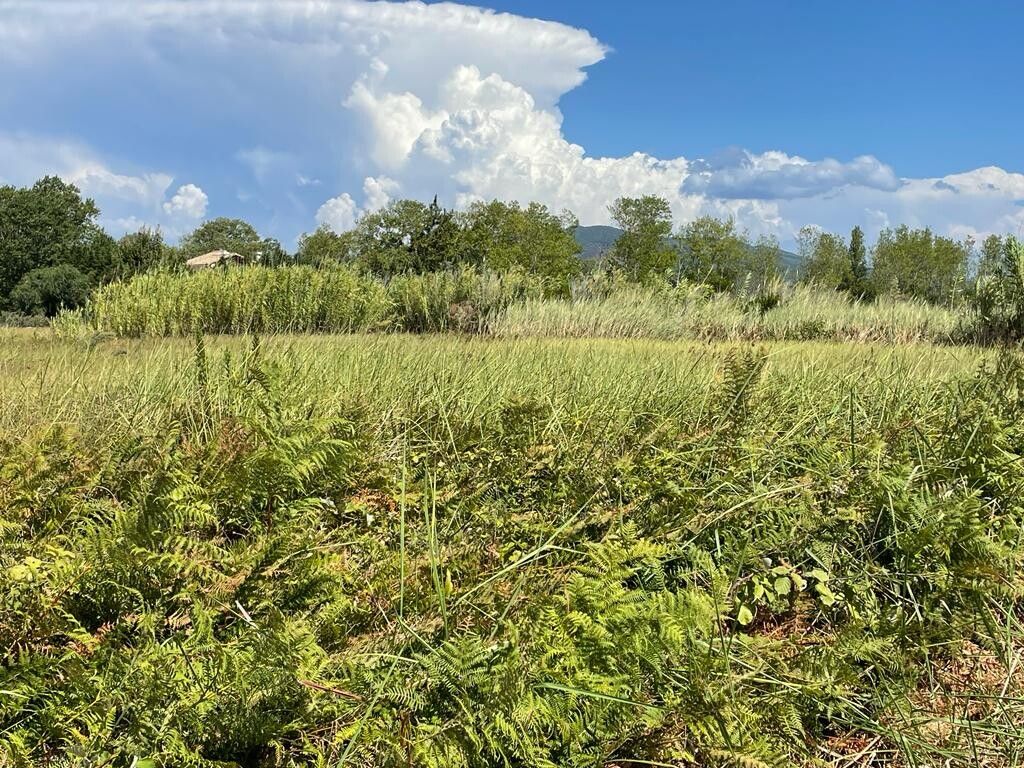 Terreno en Corfú, Grecia, 4 236 m² - imagen 1
