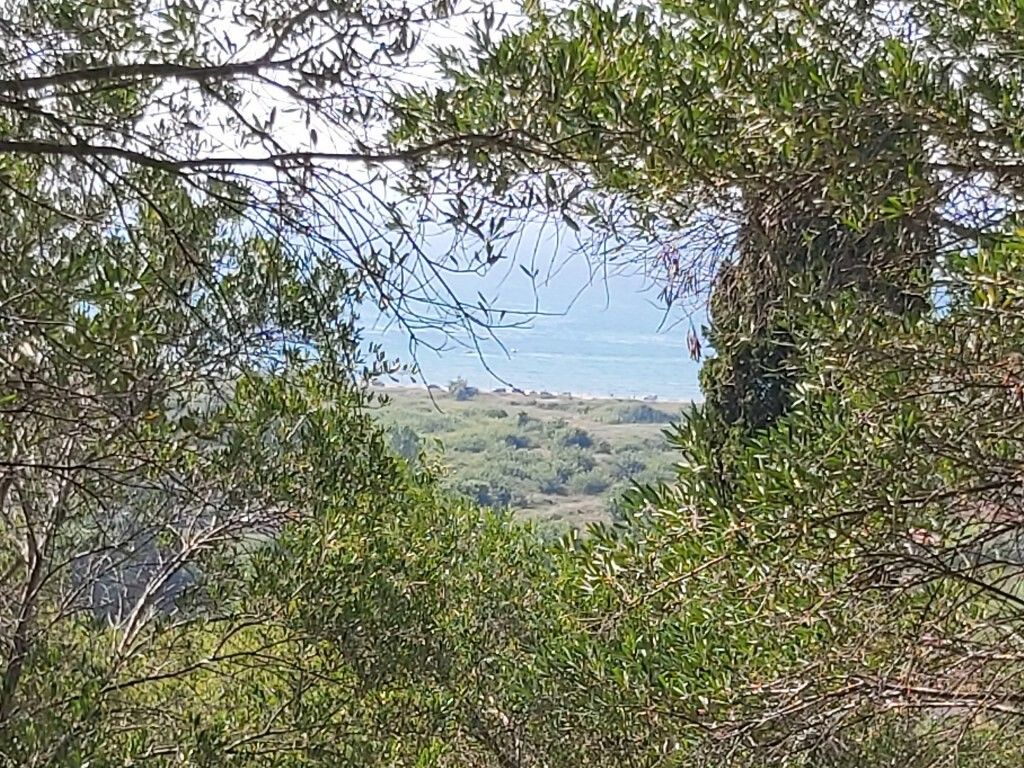 Terrain à Corfou, Grèce, 4 500 m² - image 1