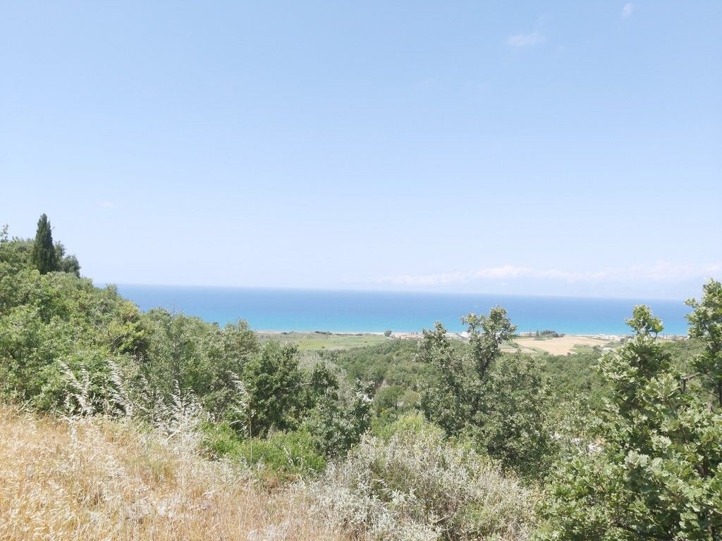 Land in Corfu, Greece, 7 200 m² - picture 1