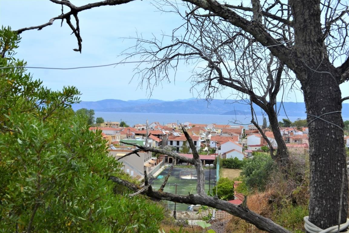Land in Corfu, Greece, 1 100 m² - picture 1