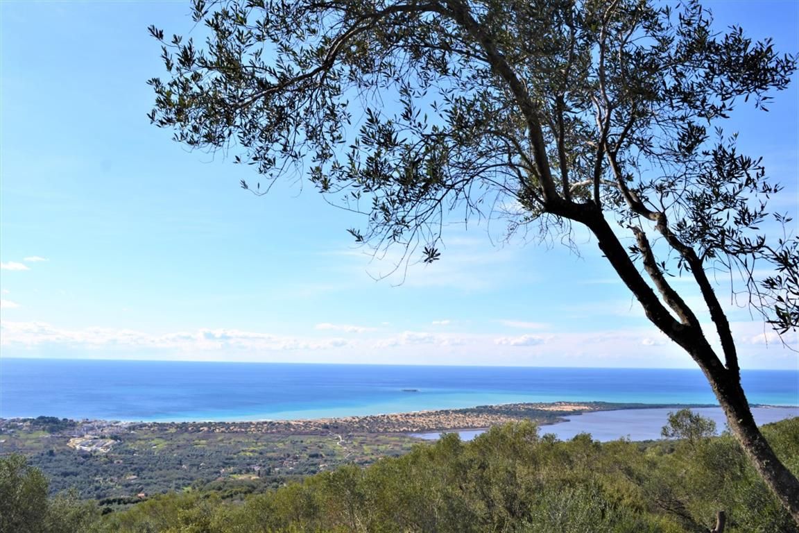 Land in Corfu, Greece, 6 000 m² - picture 1