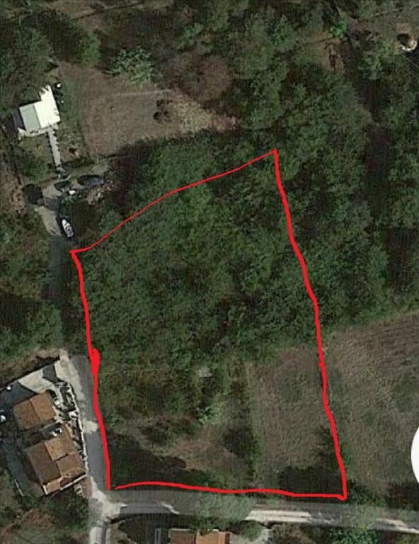 Land in Corfu, Greece, 4 000 m² - picture 1
