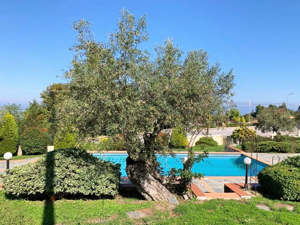 Maisonette in Chalkidiki, Greece, 85 m² - picture 1