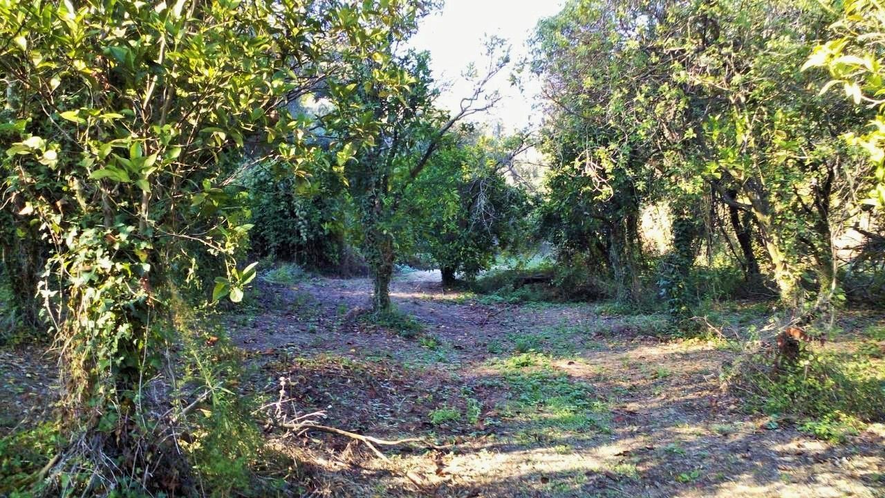 Terrain à Corfou, Grèce, 8 104 m² - image 1