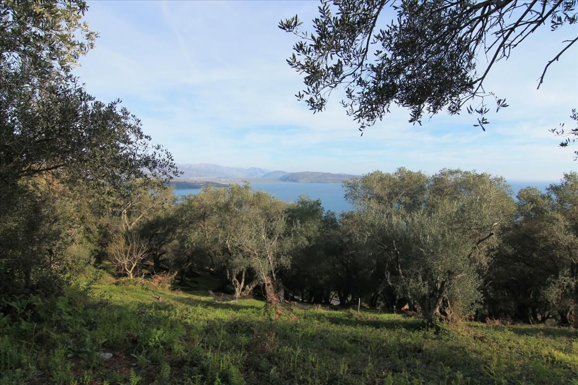 Land in Corfu, Greece, 2 400 m² - picture 1