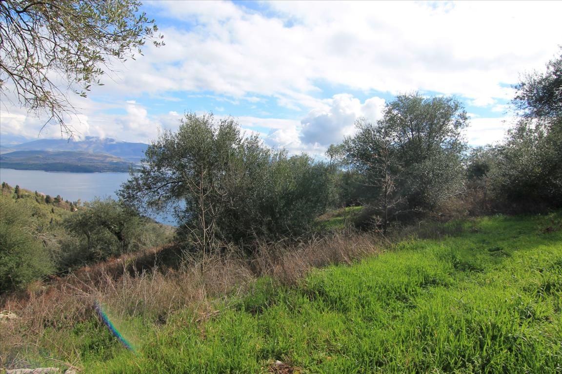 Land in Corfu, Greece, 5 000 m² - picture 1