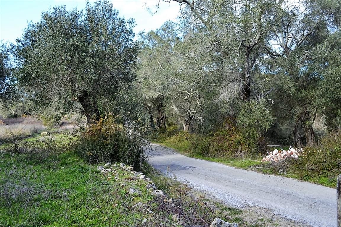 Terreno en Corfú, Grecia, 20 000 m² - imagen 1