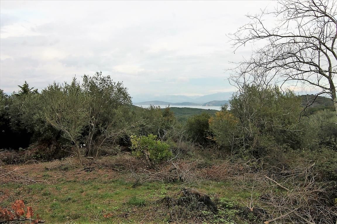 Grundstück in Korfu, Griechenland, 5 500 m² - Foto 1