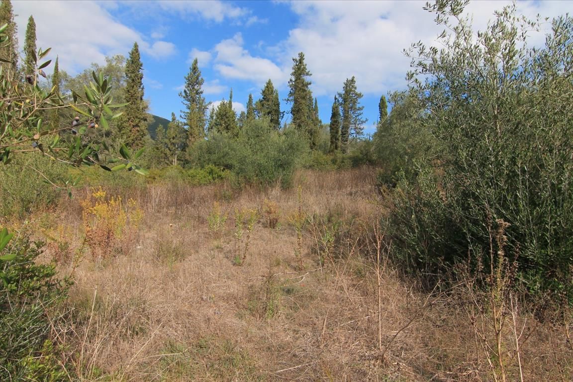 Land in Corfu, Greece, 15 000 m² - picture 1