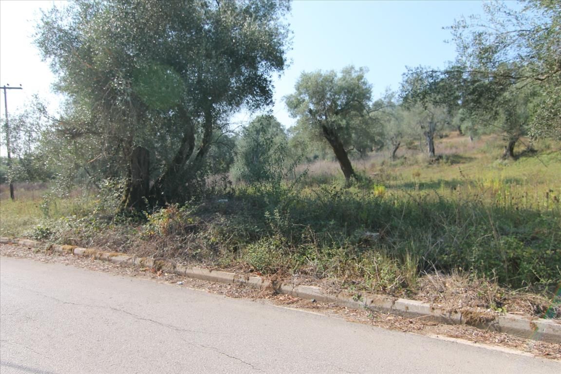 Land in Corfu, Greece, 16 000 m² - picture 1