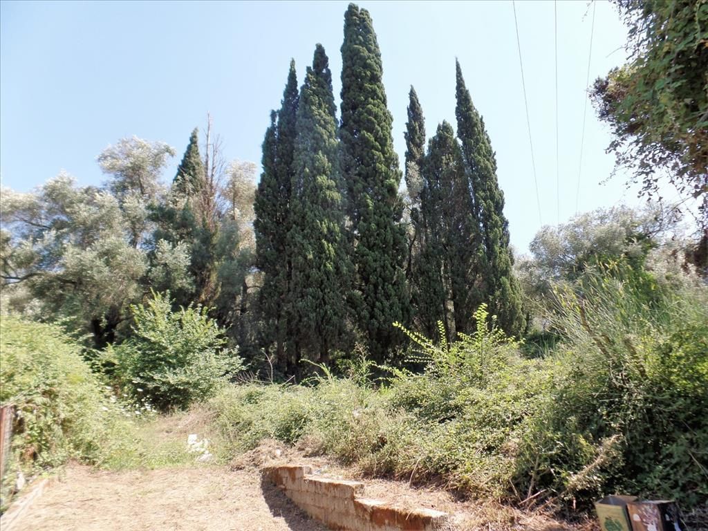 Terreno en Corfú, Grecia, 2 288 m² - imagen 1