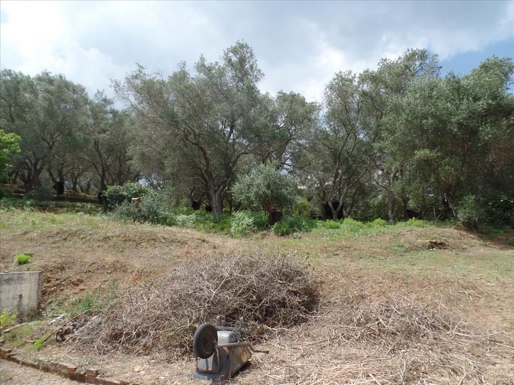 Terreno en Corfú, Grecia, 4 005 m² - imagen 1