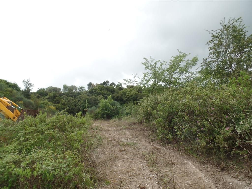 Land in Corfu, Greece, 15 000 m² - picture 1