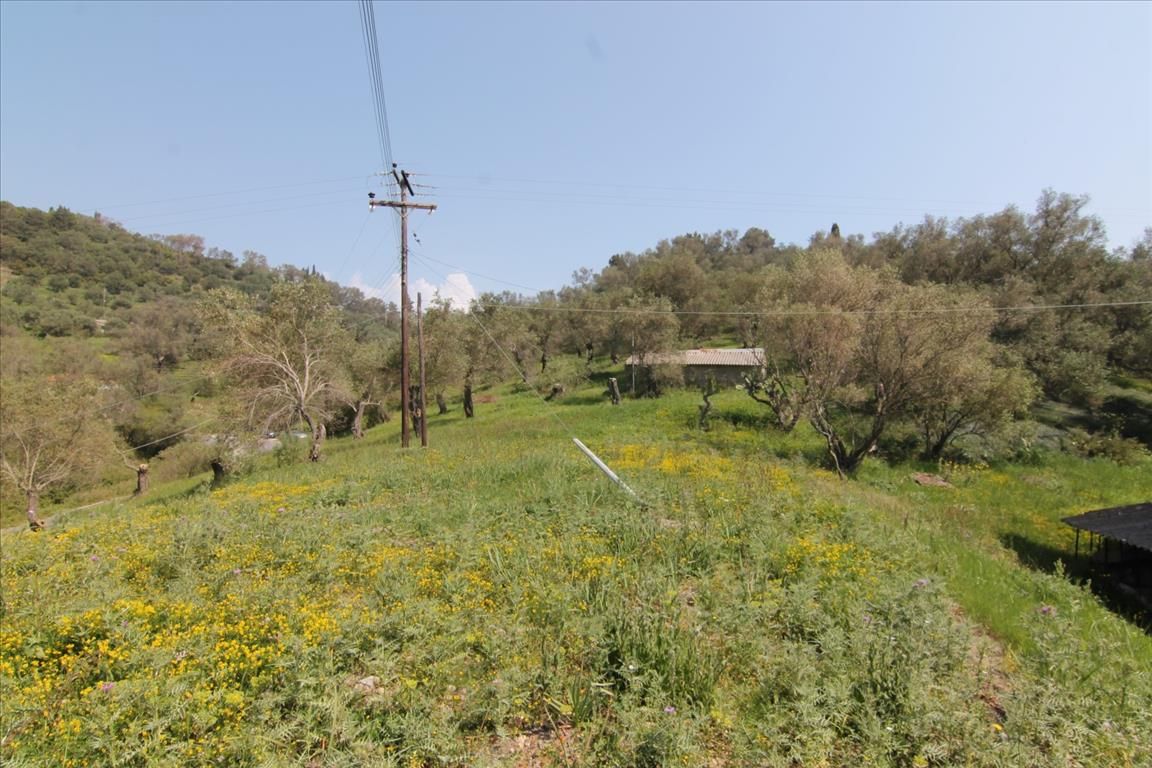 Terreno en Corfú, Grecia, 5 083 m² - imagen 1